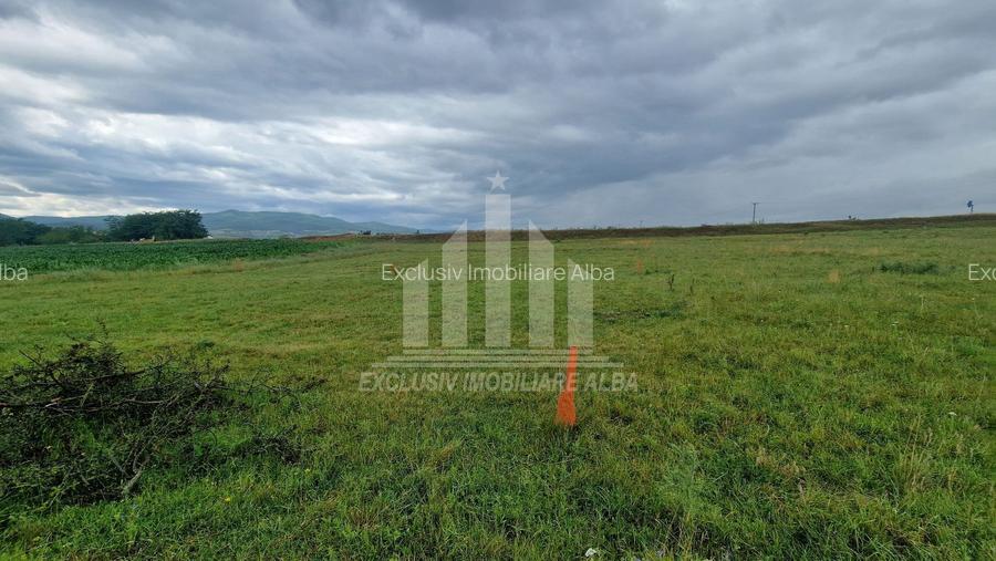 Teren intravilan | De vanzare | 450 mp | 14 ml deschidere | Partos - 2