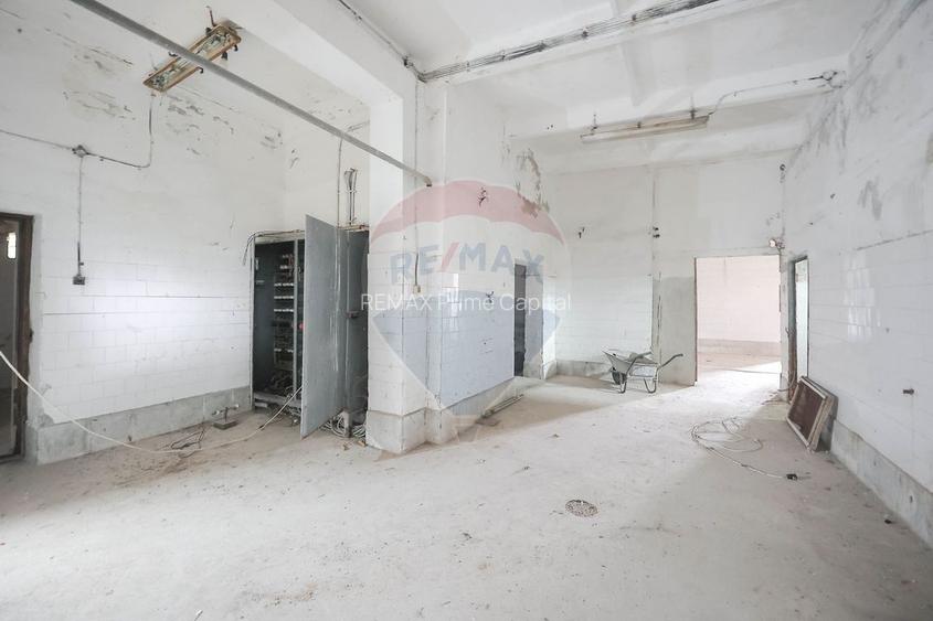 Teren 7500mp și construcții de vânzare, Tilecuș - 14
