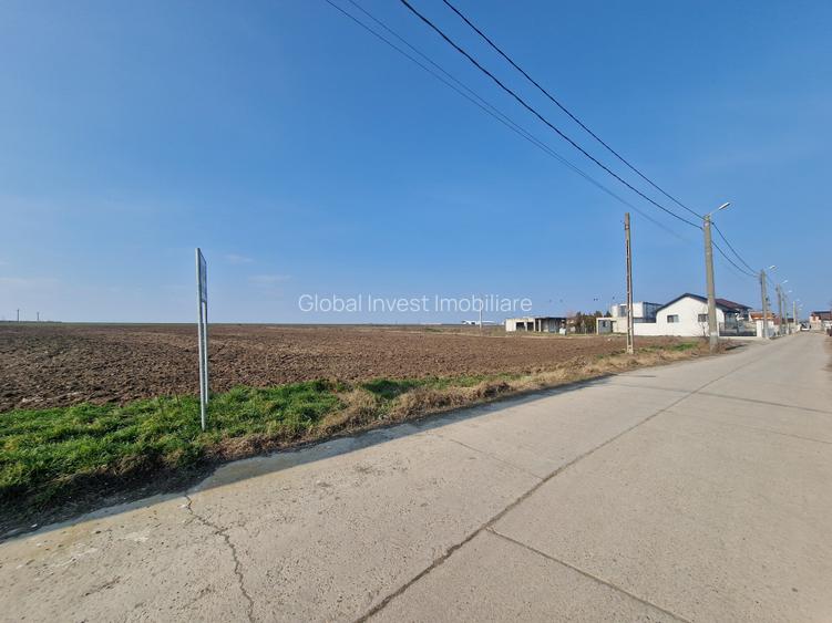 Navodari -teren 22.600mp cu deschidere la asfalt 114ml, ideal investitie - 6
