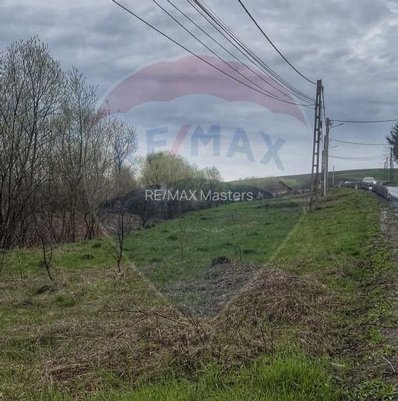 Teren 2,700mp Scheia / DJ 209C - 6