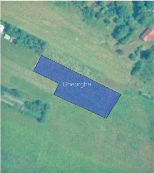 Teren intravilan 2950 mp-Bujoreni, sat Olteni /Ideal Rezidențial sau Investiție  - 2