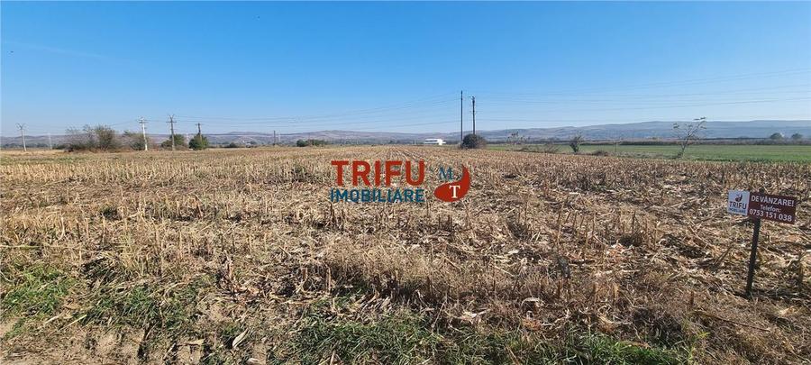 Teren intravilan de vanzare 2900 mp pe Soseaua de Centura