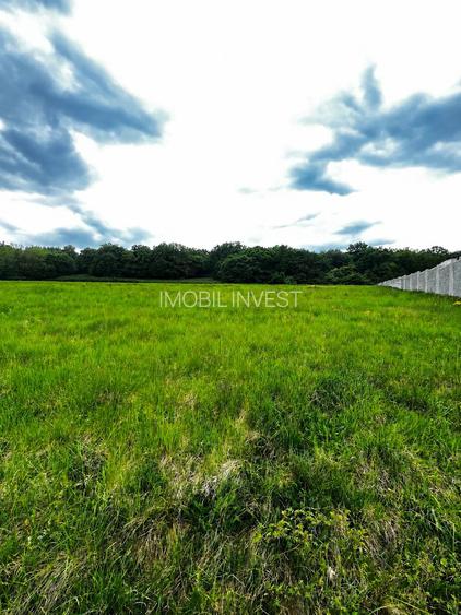 Teren intravilan cu panoramă superbă, 500 mp, proiect autorizat
