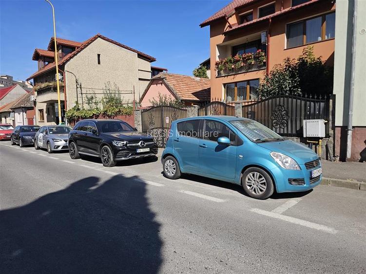 Spatiu comercial Judetean - Vad stradal - 2