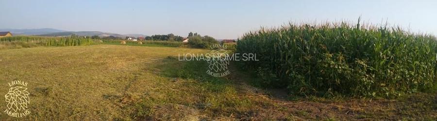 Teren 5500 mp-oportunitate investitie-pretabil cabana-Jelna - 4