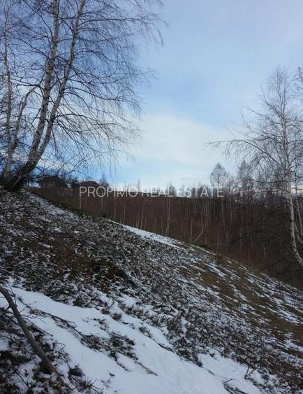 Moeciu, Drumul Carului, teren 3750 mp, 75000 euro - 10