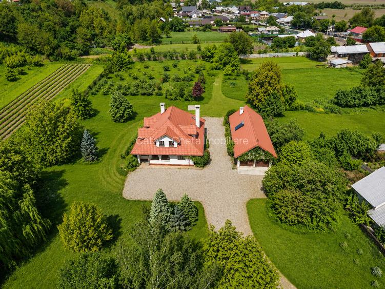 Proprietate unicat in Blagesti cu teren de 7.754 mp - Bacau - 2
