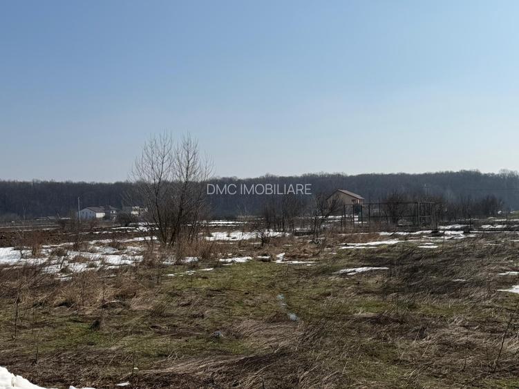 Domnești, teren langa pădure, 420mp, utilități,  deschidere 21ml, intravilan - 2