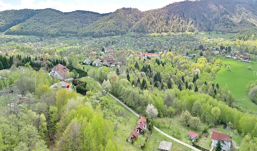 Teren intravilan Bran- Predelut - 14