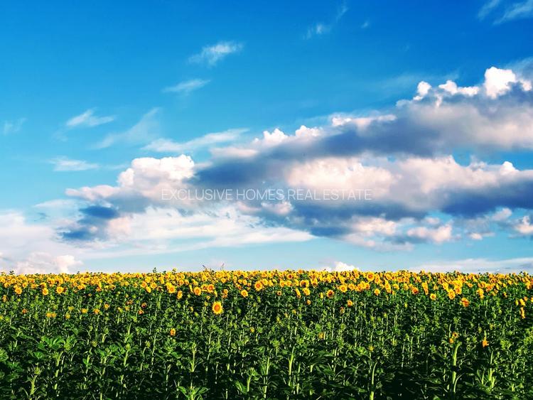 Vanzare vila Corbeanca - 27