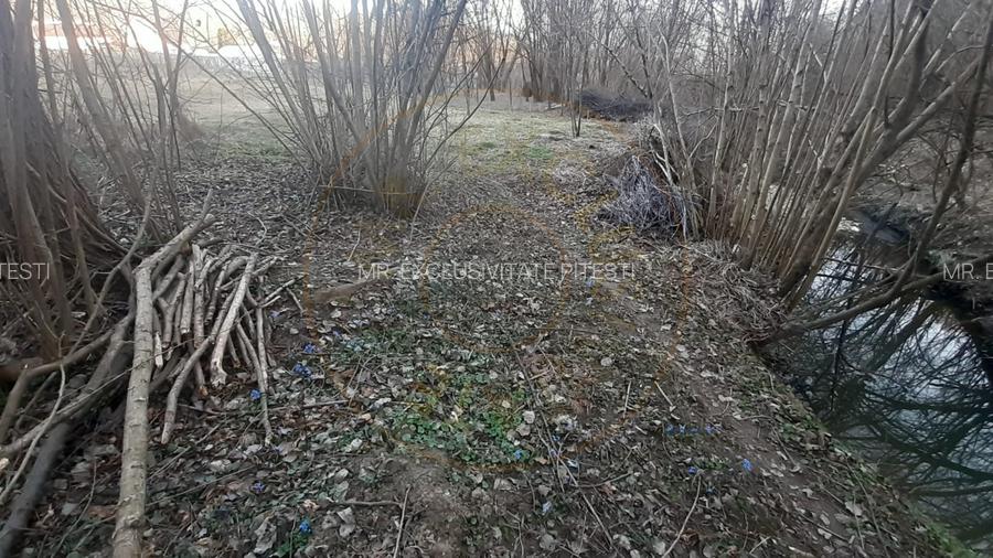 Teren intravilan pentru Casa de Vacanta - Mosoaia -Basangesti - 8