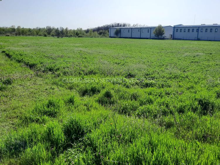 FARA COMISIOANE in Joita aproape de drumul asfaltat teren de 4600mp merita vazut - 4