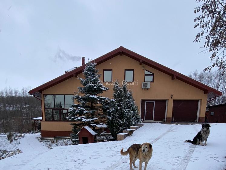 Vand vila Gura Vaii , Girov, jud Neamt - 15