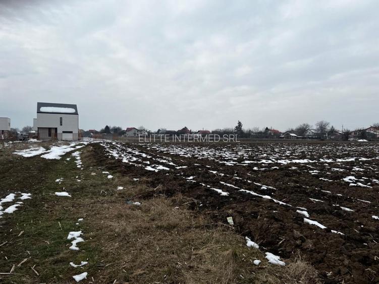 Tamasi -strada Livezilor - 2