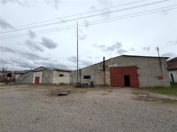 HALE INDUSTRIALE | CLADIRE BIROURI | TEREN 7000 MP | GHEGHIE BIHOR