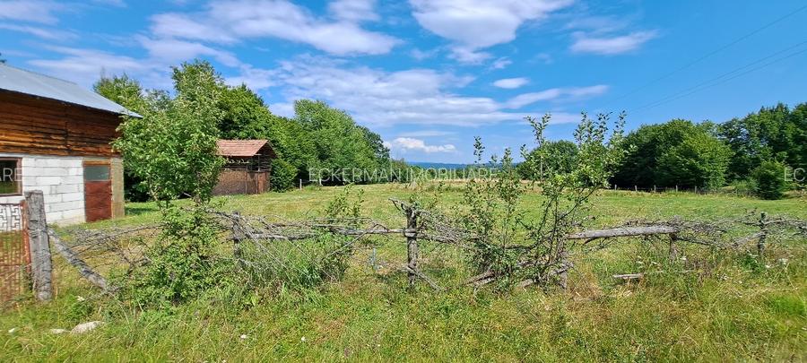 Bughea de Jos-Imparatia Mlacilor, teren de vanzare, 3000 mp, 27 ml deschidere - 5