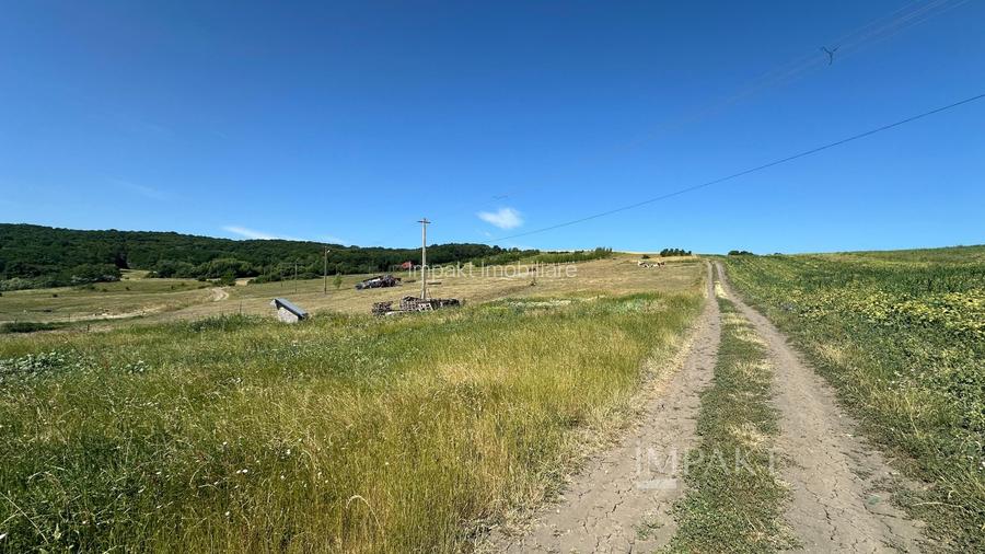 Teren extravilan cu priveliște deosebita, la liziera padurii – Dezmir - 2