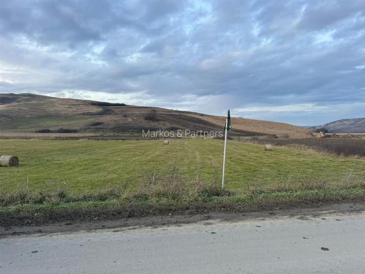 Teren Extravilan I 6000 Mp I Acces la drum | Cojocna - 7