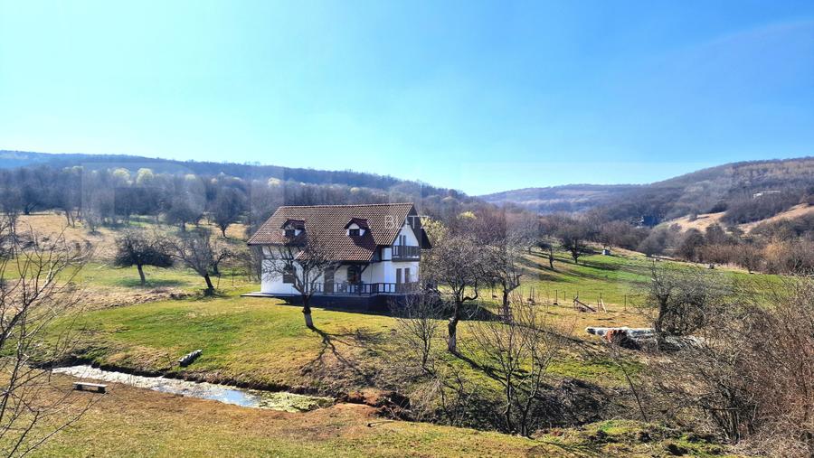 Oportunitate de investitie! Agropensiune în mijlocul naturii stil rustic | 180mp - 8