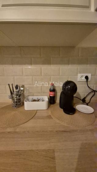 Studio 41 mp | Aviatiei – Herastrau | Mobilat modern | Ideal investitie (Booking - 12