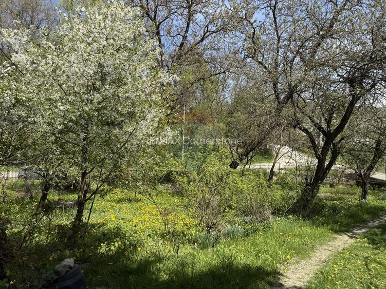 Casă  de vânzare în zona Câmpulung înconjurată de natura - 18