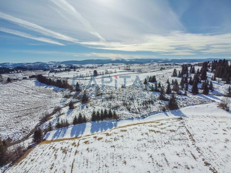 Oportunitate de investitie! 1,06 Hectare Teren Intravilan In Marisel  - 4