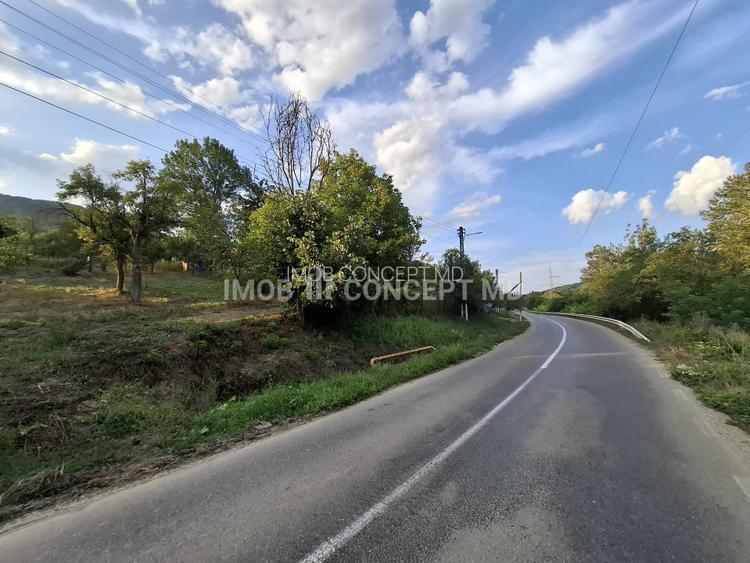 Teren spectaculos cu padure, livada si priveliste panoramica in Soimari PH - 4