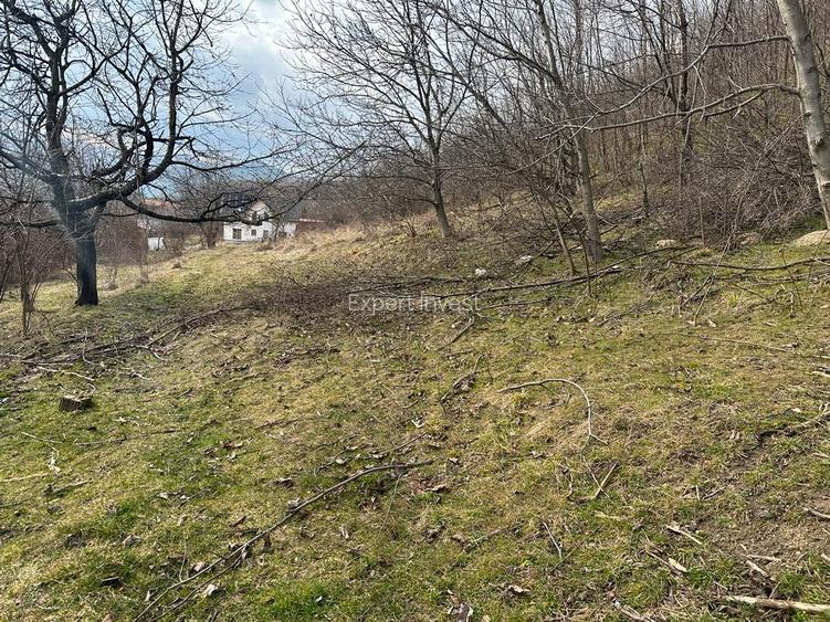 Teren intravilan 5.000 mp Cisnadioara / jud. Siibu - 3