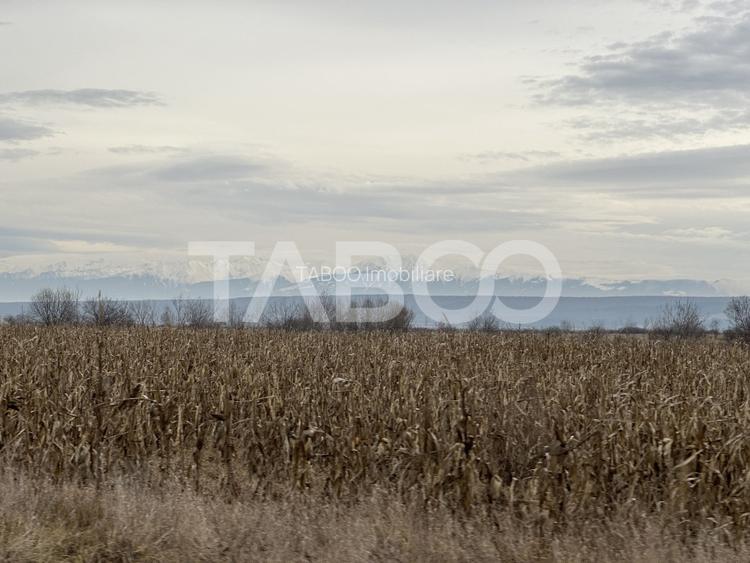 Teren pretabil investitie 3611 mp de vanzare in Cristian judetul Sibiu - 2