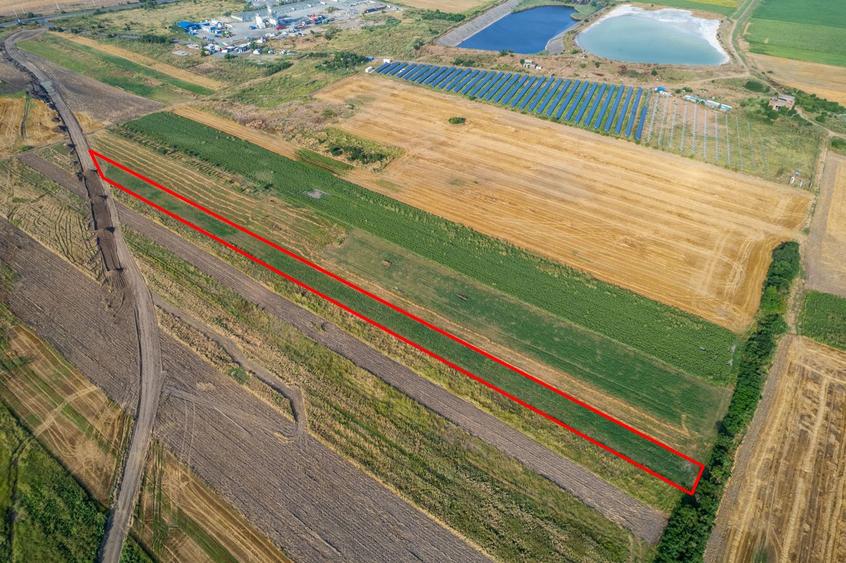 Teren 4.271 mp de vanzare în Vladimirescu