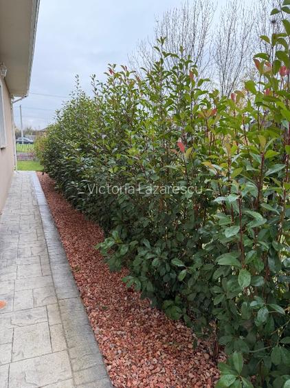 Oportunitate în Ghiroda – casă complet utilată, ideală pentru mutare rapidă! - 3