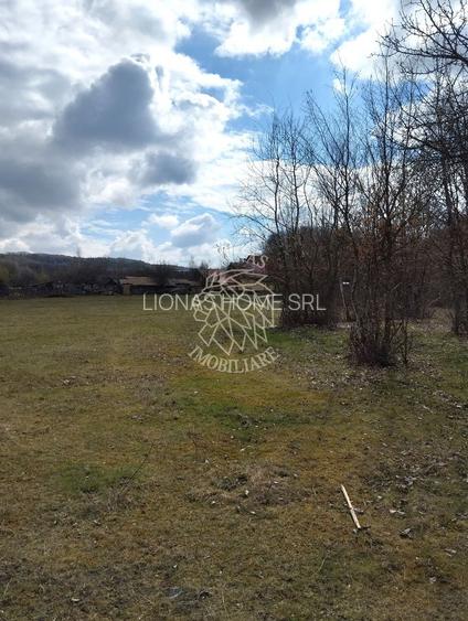 Teren 3700 mp - vedere panoramic - Zona Str. Ghinzii - 4