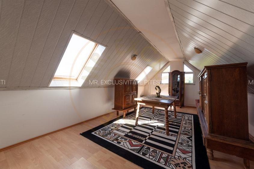 Casa visurilor cu livada roditoare si gradina amenajata Darmanesti-Arges - 12