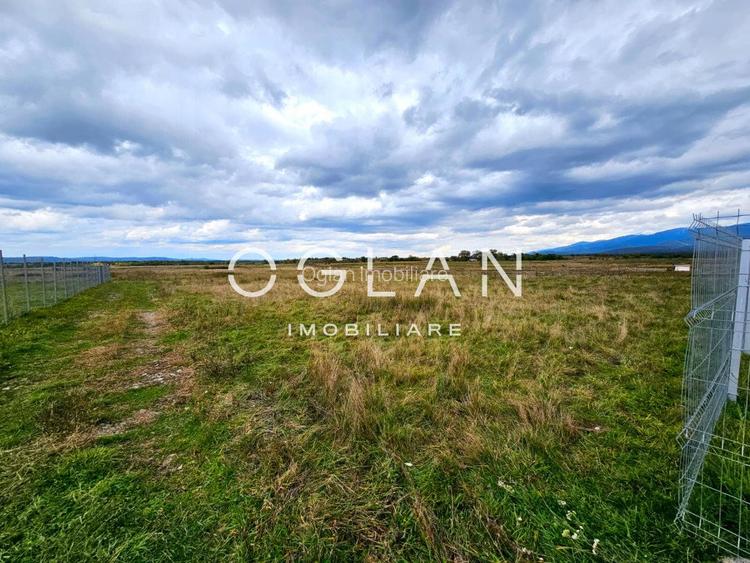 SUPER PRET! Teren 2400 mp Valea Avrigului SIBIU - 10