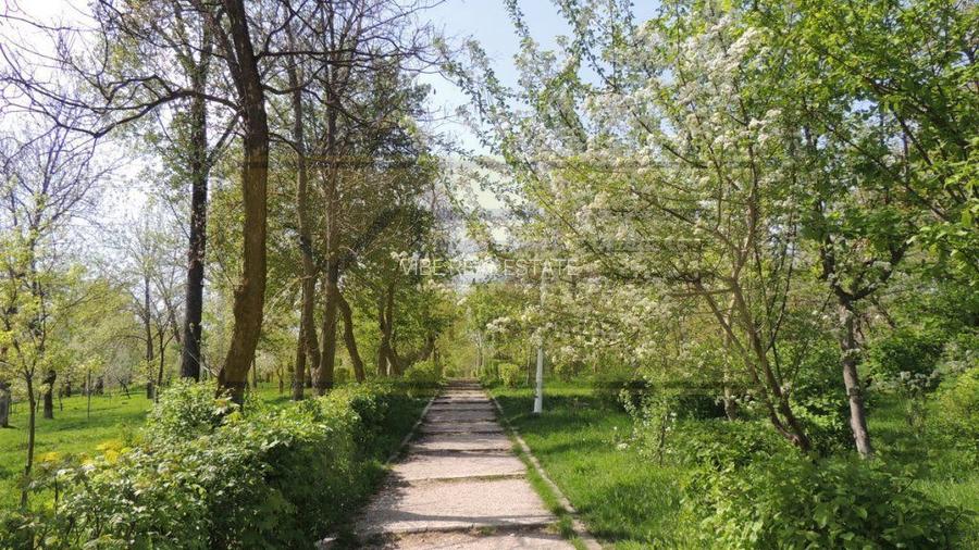 Apartament 3 camere premium Tatarasi Parcul Ciurchi - 93