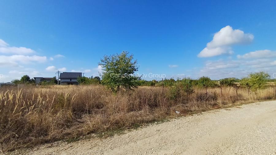 Teren Izvorani -Padure -COR - 11