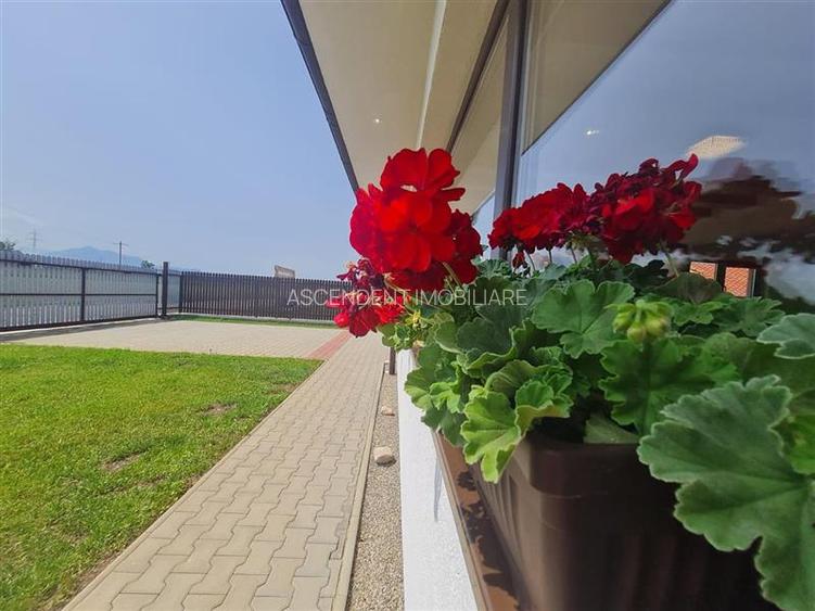 In stil mediteranean, curte proprie, 4 camere, terasa, pod mansardabil, Harman, - 16