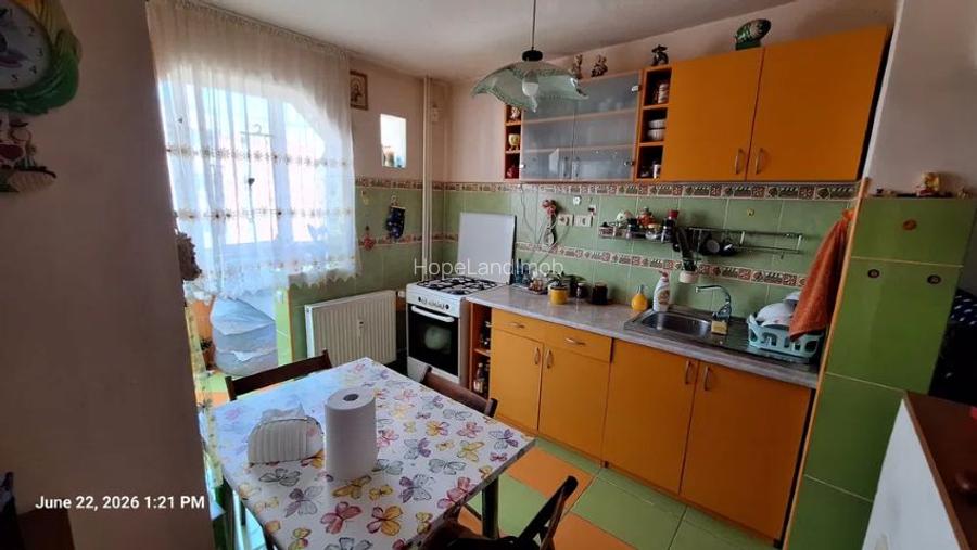 Apartament 2 camere Teiul Doamnei / Petre Antonescu - 7