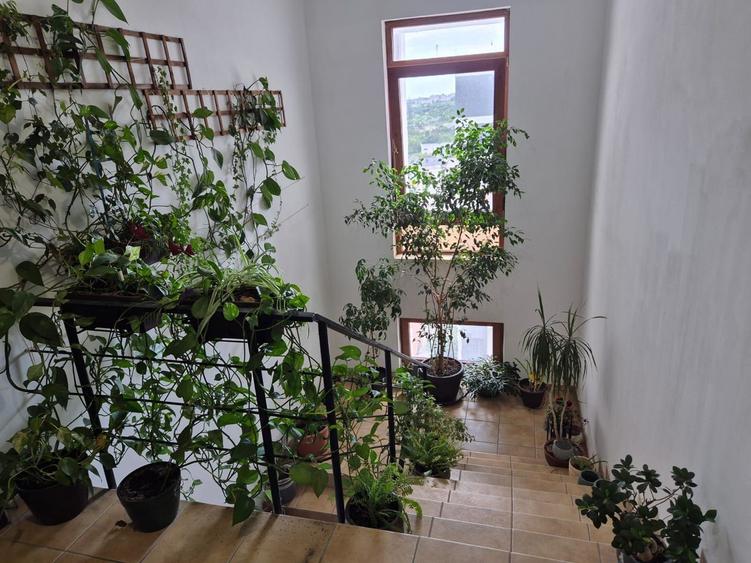 OCAZIE, FAR-CENTRU DE SCAFANDRII 2 CAMERE BLOC NOU, 60 MP, 104.900 EUR