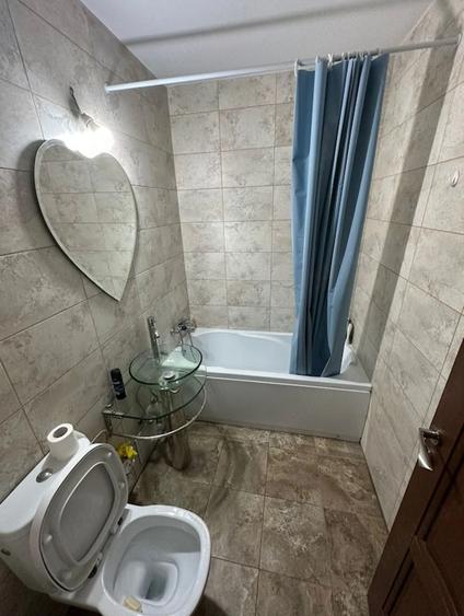2 camere - Jean Steriadi Ozana - petfriendly