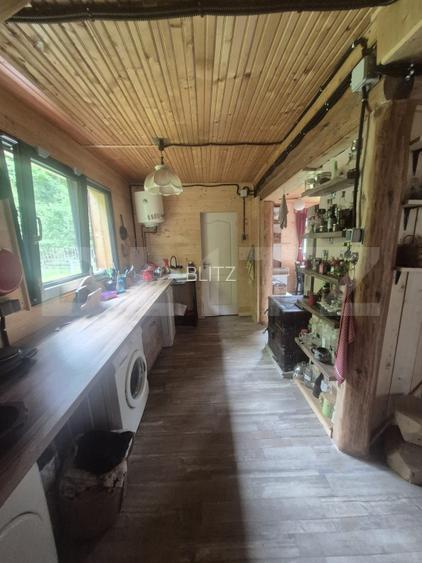 Cabana cu parau si brazi maturi, 1400mp, Valea Fericirii - 8