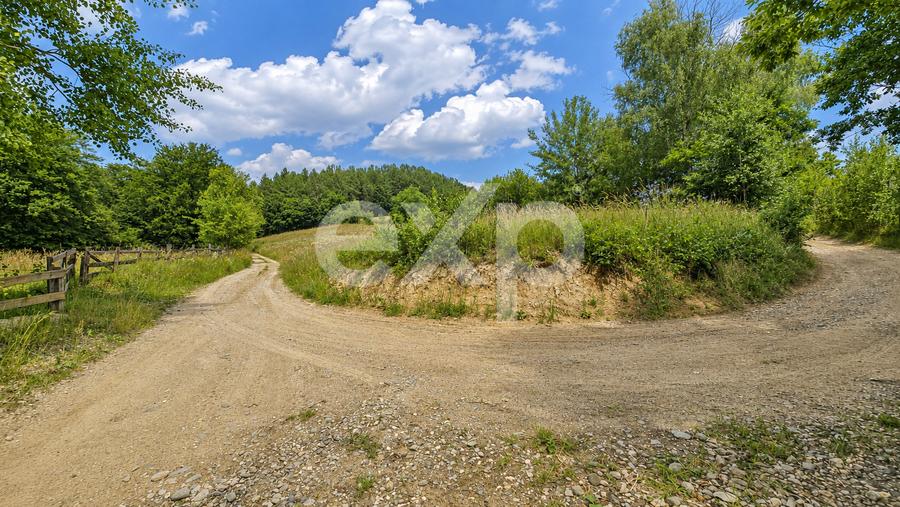 PANORAMA POIANA MĂRULUI | Teren cu potențial de dezvoltare zona  After Hills