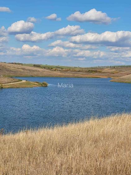 Oferta! Vând domeniu unicat (1 Ha) cu casă și livadă – Drăghiceanu, Giurgiu | Op - 9