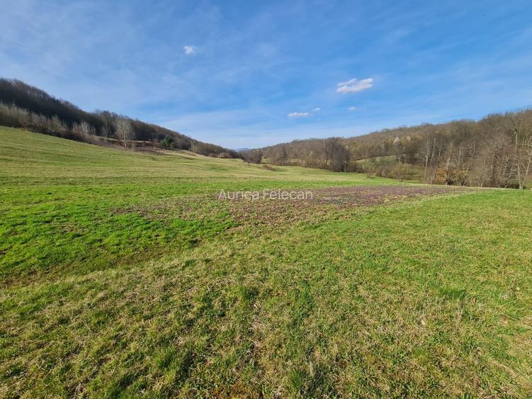 Proprietar vand casa+ teren 13000mp, Steia, Tomesti, jud. Hunedoara, 20km de Bra - 7