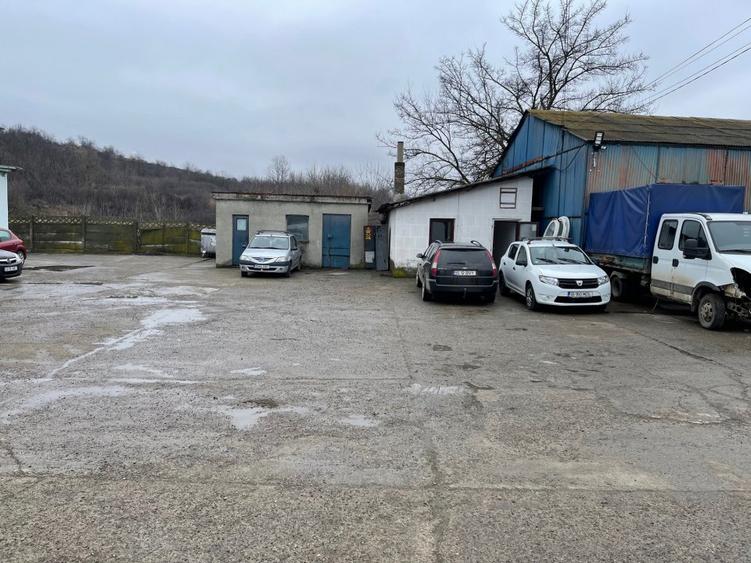 Vand teren cu hale 8.000 mp Sos. Bucium nr. 23