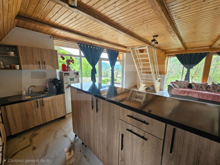 Cabană autentică cu 4565 mp teren, Liniste si Confort, Avram Iancu