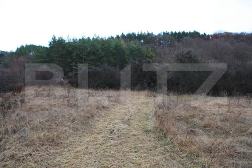 Teren intravilan, 1539 mp,  zona Aapp, Faget