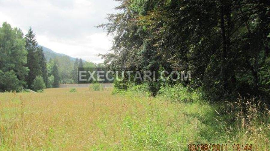 TIMISUL DE JOS TEREN INTRAVILAN 21,000 MP IDEAL HOTEL