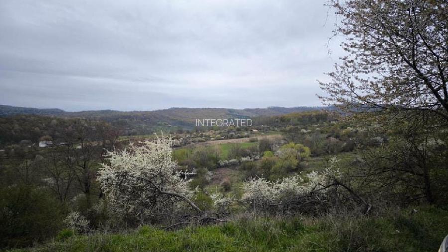 Bistrita, Drumul Tărpiului, Teren extravilan -5.800 mp - 4