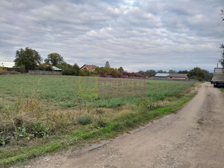 DE VANZARE TEREN 2000 MP  -  COSERENI( il )